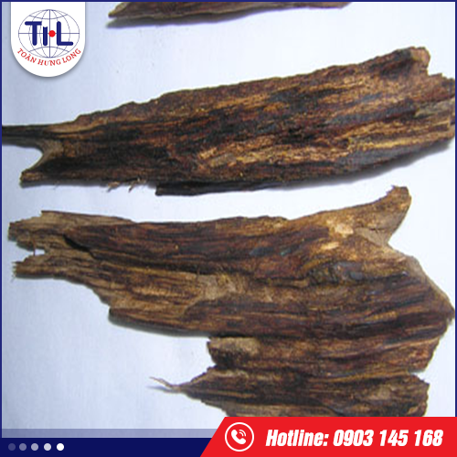 Trầm Kỳ Nầm